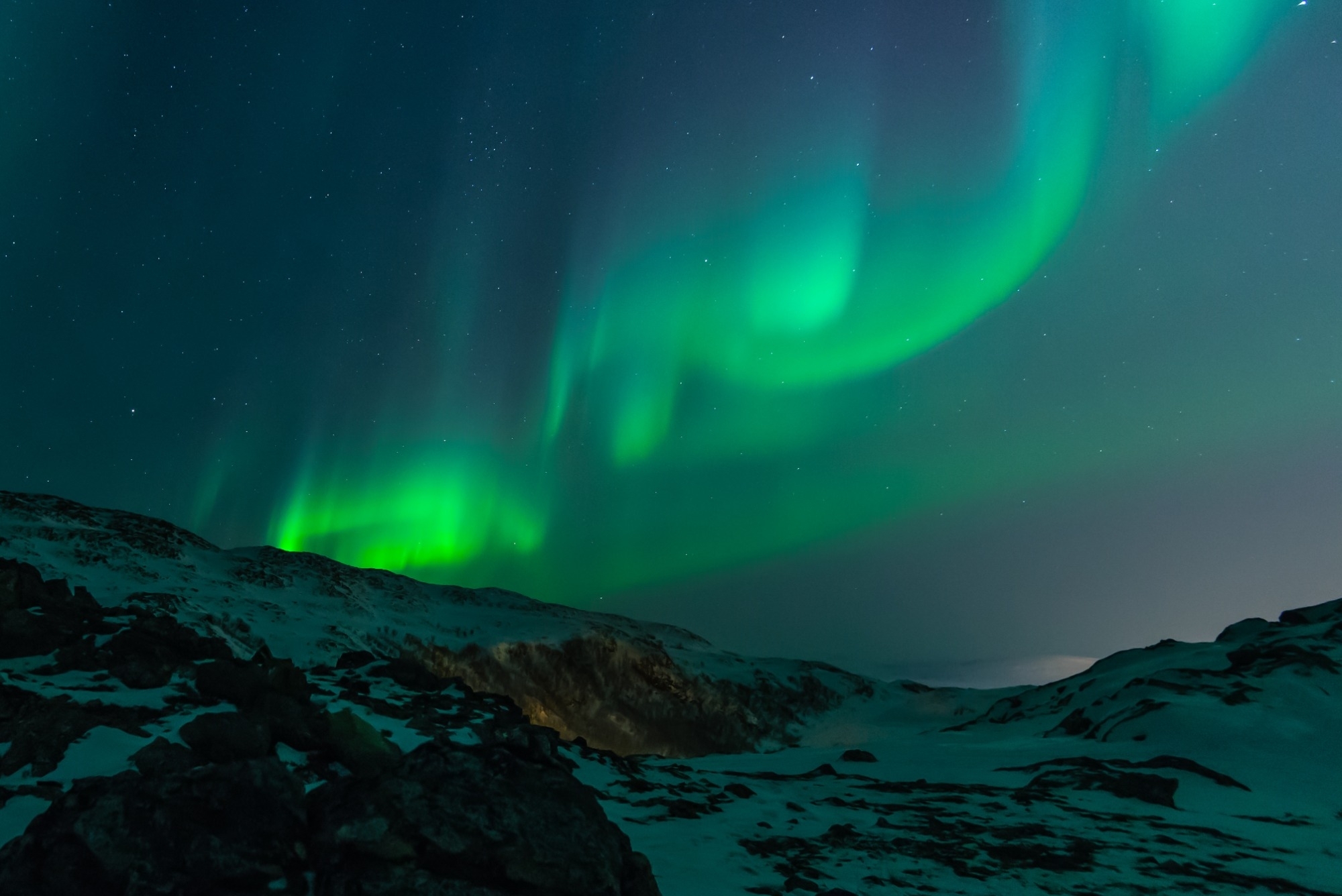 Organizational Development & Capacity Building