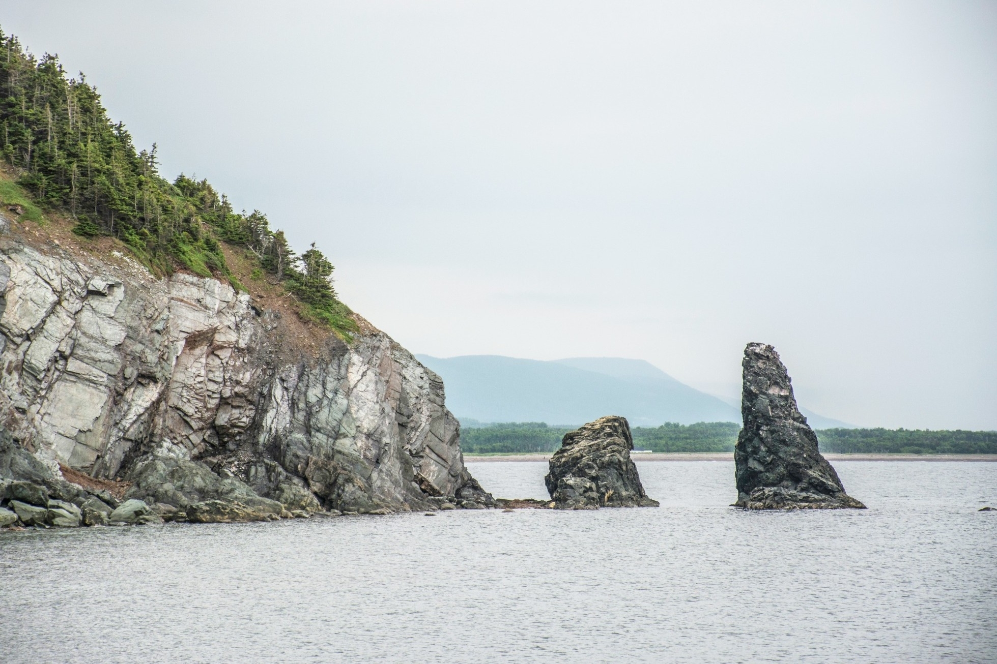 Program & Service Delivery Design